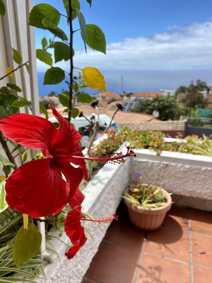 Apartamento Guanche Bay Santa Cruz de Tenerife Exterior foto